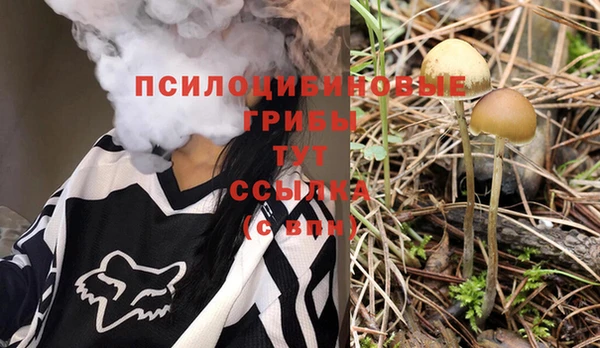 шишки Вязьма