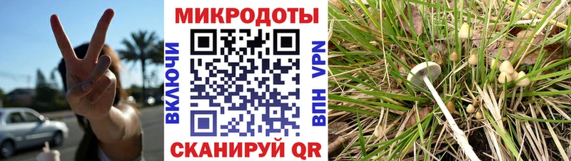 OMG рабочий сайт закладки Новочеркасск Псилоцибиновые грибы Cubensis