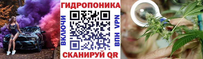 купить закладку Новочеркасск Шишки марихуана марихуана